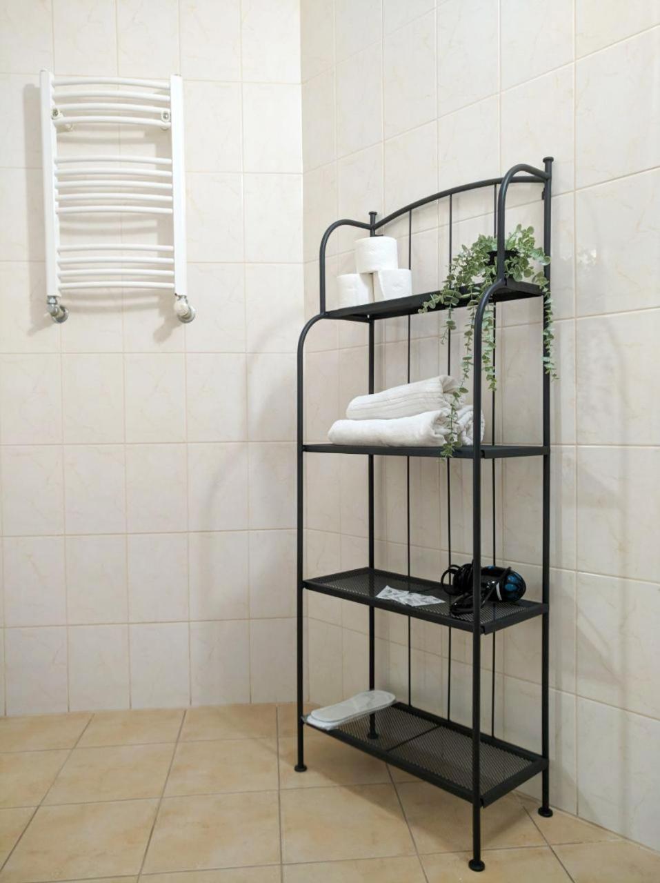 מוקצ'בה Best Apartment In The Center מראה חיצוני תמונה