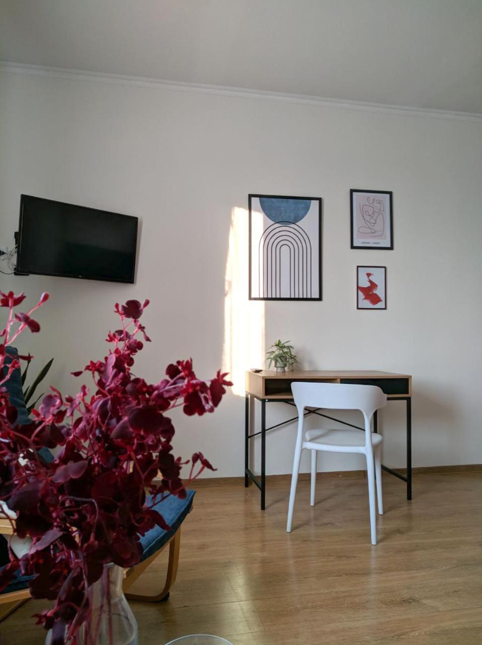 מוקצ'בה Best Apartment In The Center מראה חיצוני תמונה